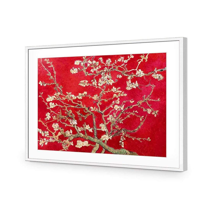 Blossoming Almond Tree By Vincent Van Gogh, Red Wall Art