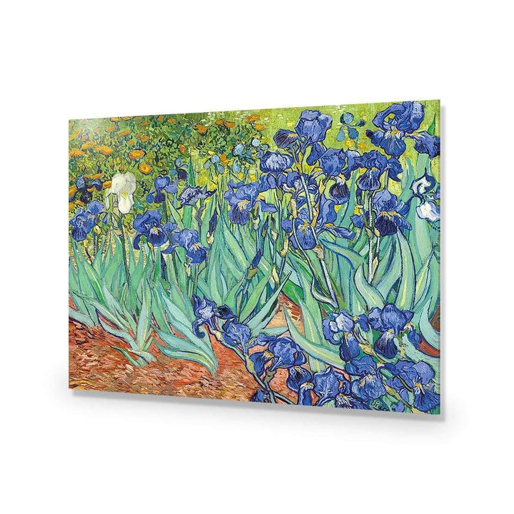 Irises 2 By Van Gogh Wall Art