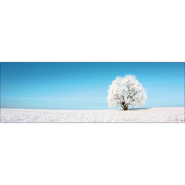 Lonely Snow Tree (Long)