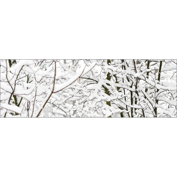 Snowy Branches (Long)