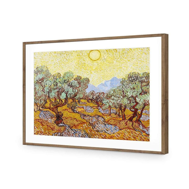 Olive Trees By Van Gogh Wall Art