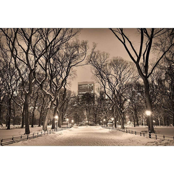 Winter in Central Park, Sepia Wall Art