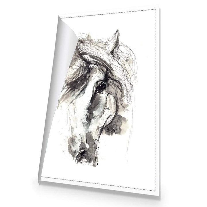 Monochrome Sketch Horse Wall Art