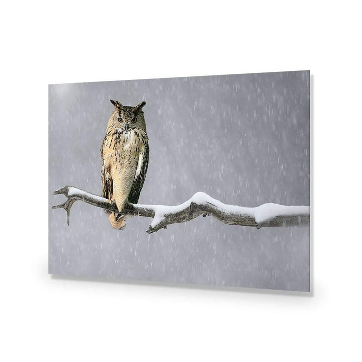 Eurasian Eagle Owl Wall Art