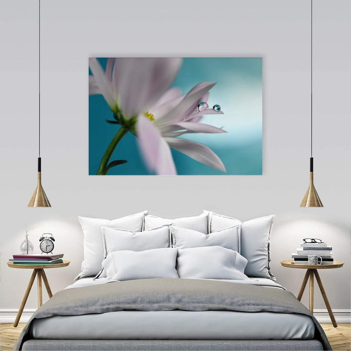 In Turquoise Company By Heidi Westum Wall Art