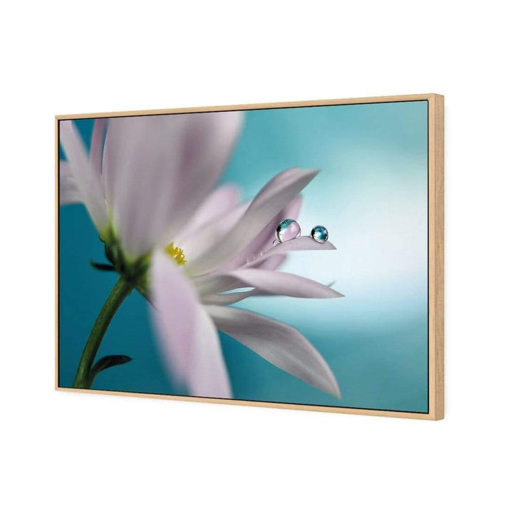 In Turquoise Company By Heidi Westum Wall Art