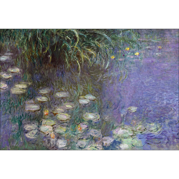 Waterlillies By Monet