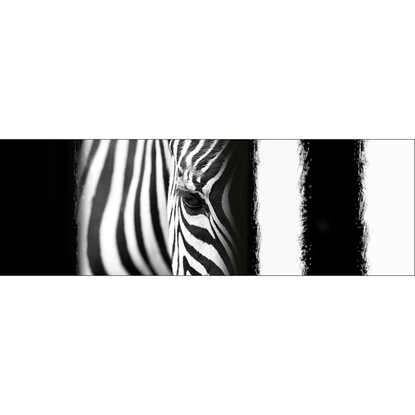 Zebra Eye Arty, black and white