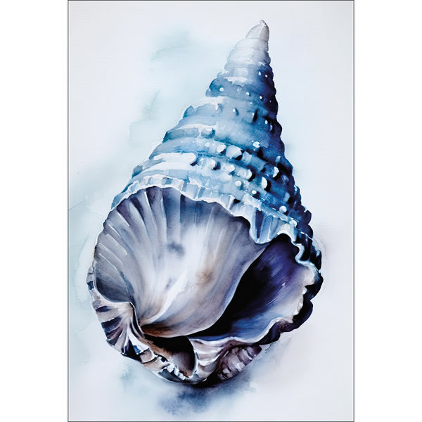 Watercolour Shell II
