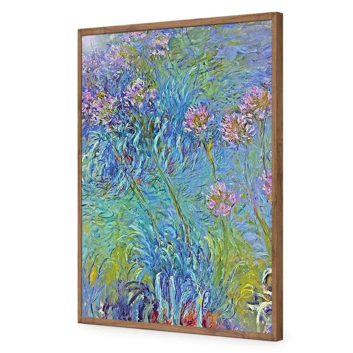 Agapanthus By Monet Wall Art