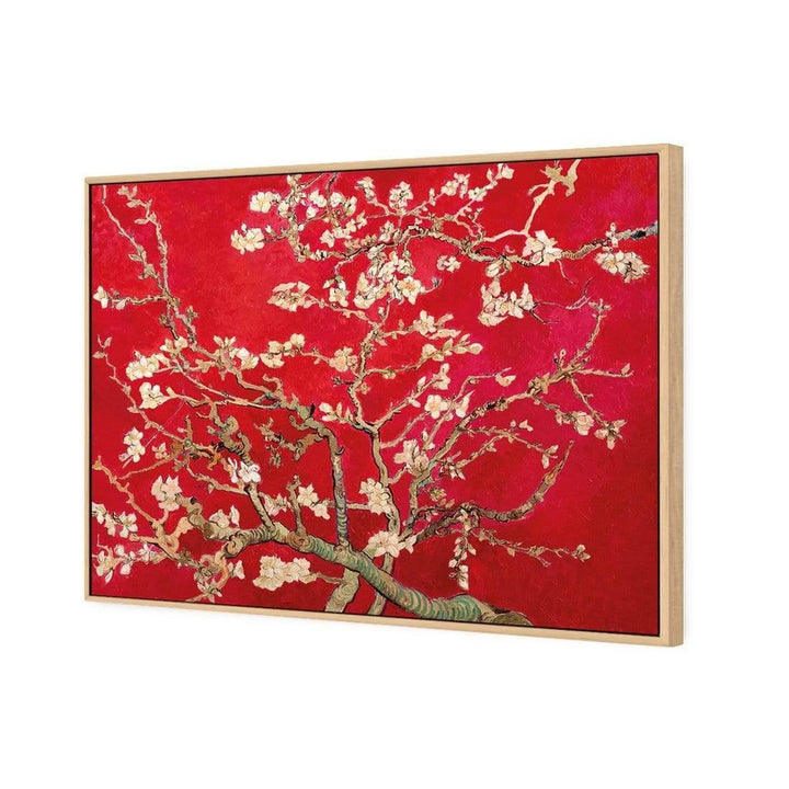 Blossoming Almond Tree By Vincent Van Gogh, Red Wall Art
