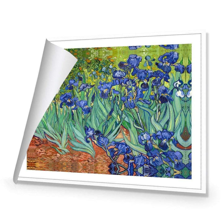 Irises 2 By Van Gogh Wall Art
