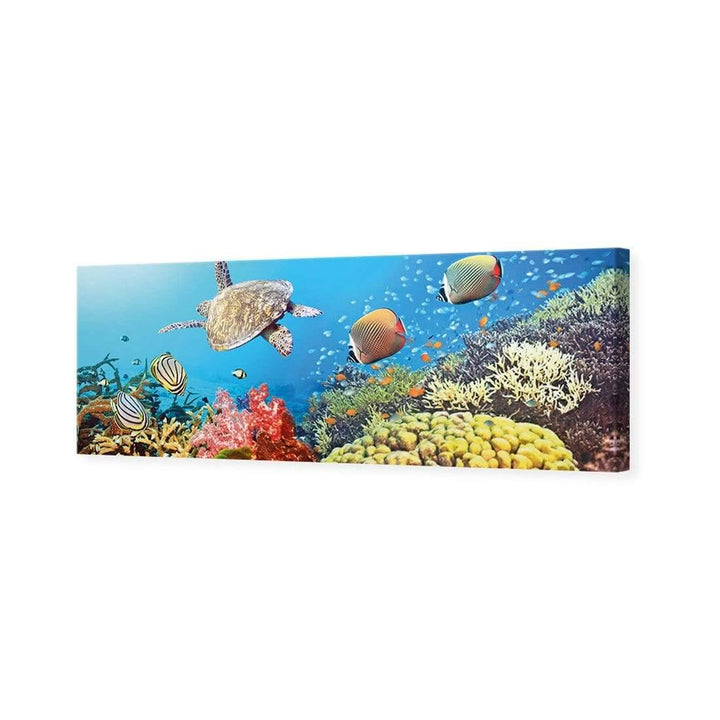 Coral Sea, Original (Long) Wall Art