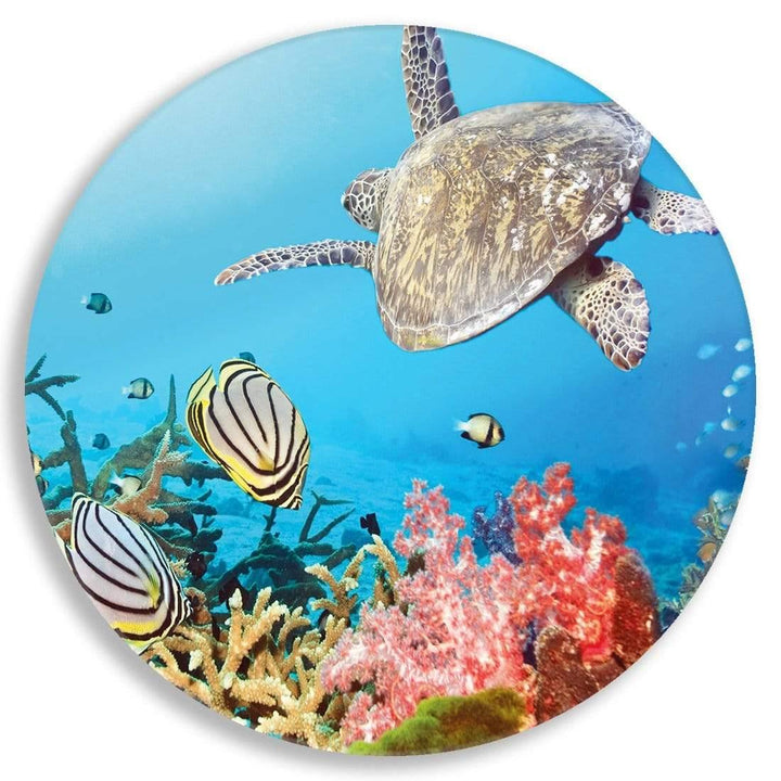 Coral Sea Circle Acrylic Glass Wall Art