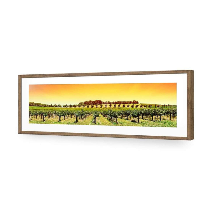 Barossa Vineyards, Original (Long) Wall Art