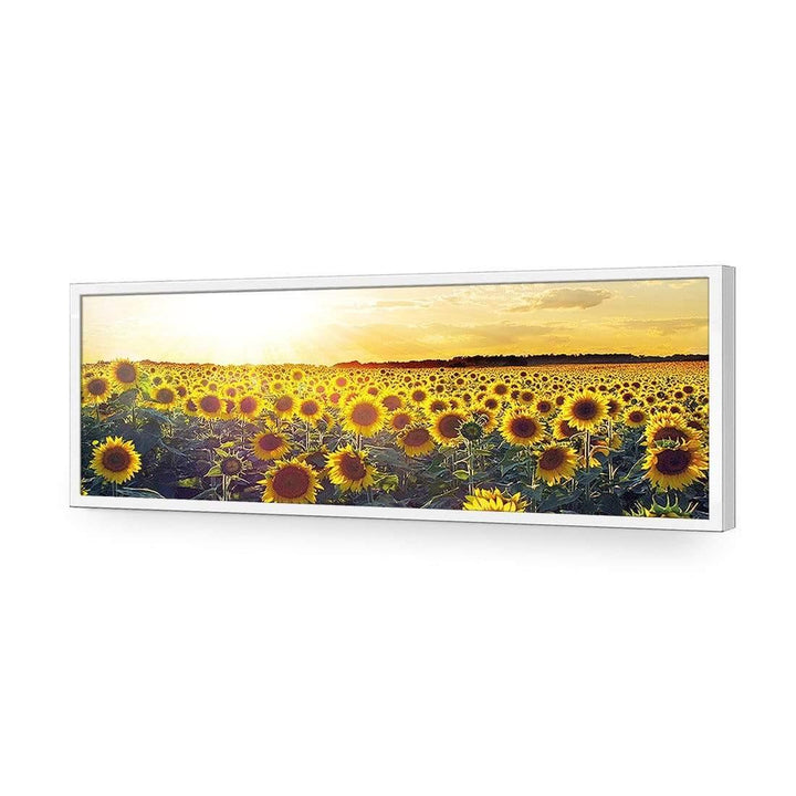 Sunflowers at Sunset, Original (Long) Wall Art