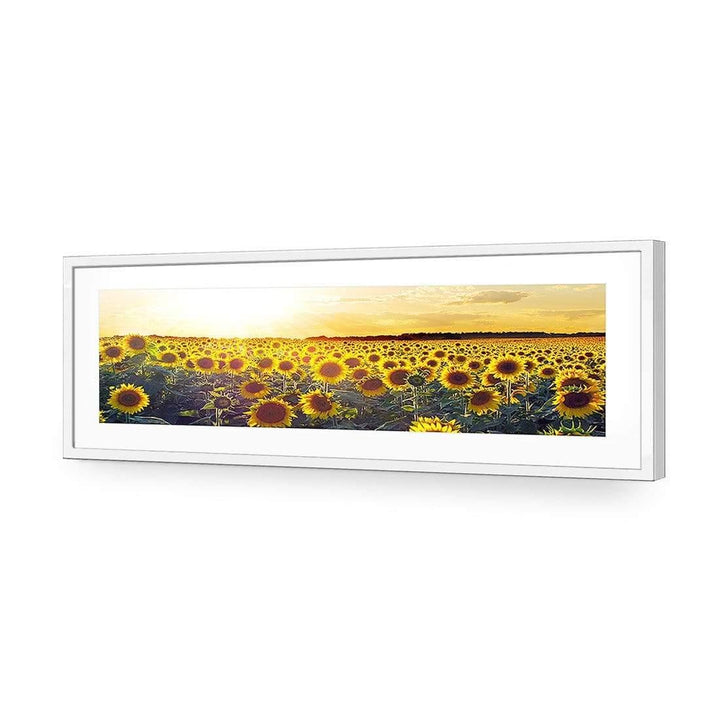 Sunflowers at Sunset, Original (Long) Wall Art