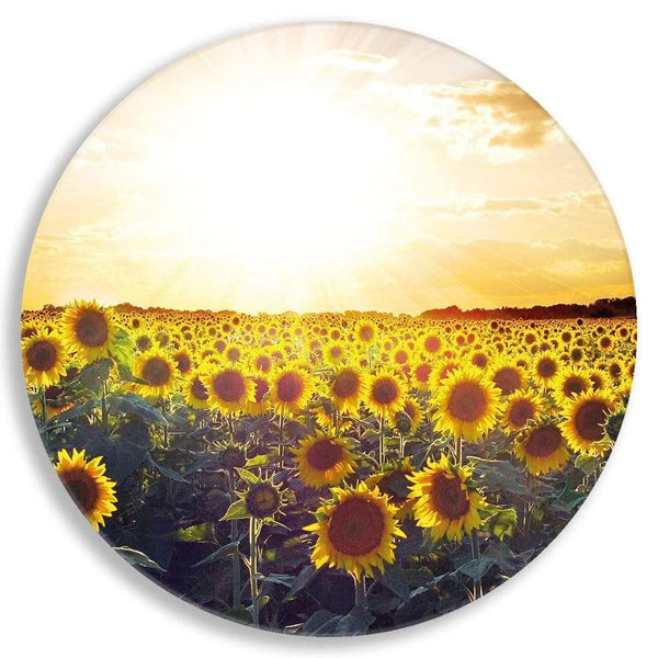 Sunflowers at Sunset Circle Acrylic Glass Wall Art