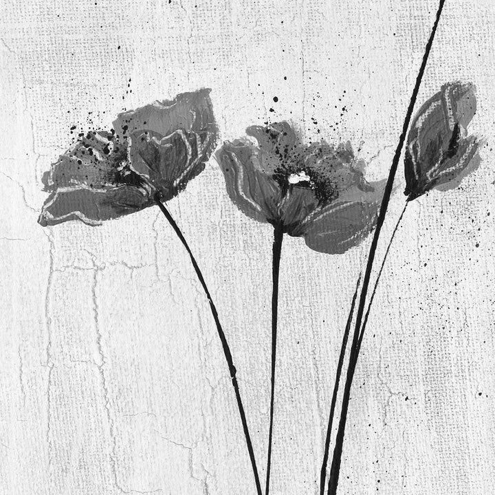 Abstract Tall Poppies, Black and White (Square) Wall Art