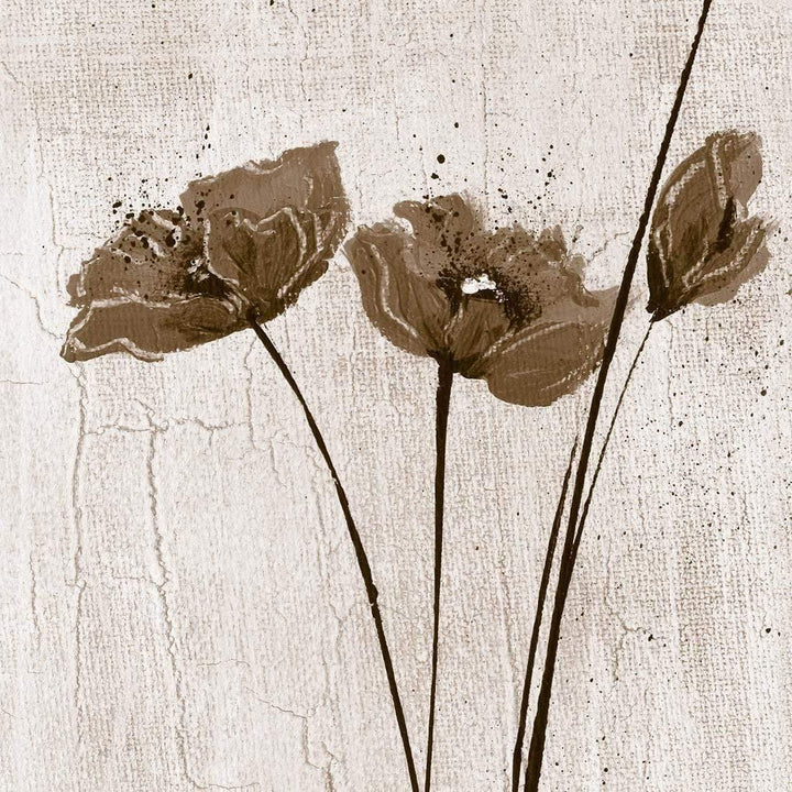 Abstract Tall Poppies, Sepia (Square) Wall Art