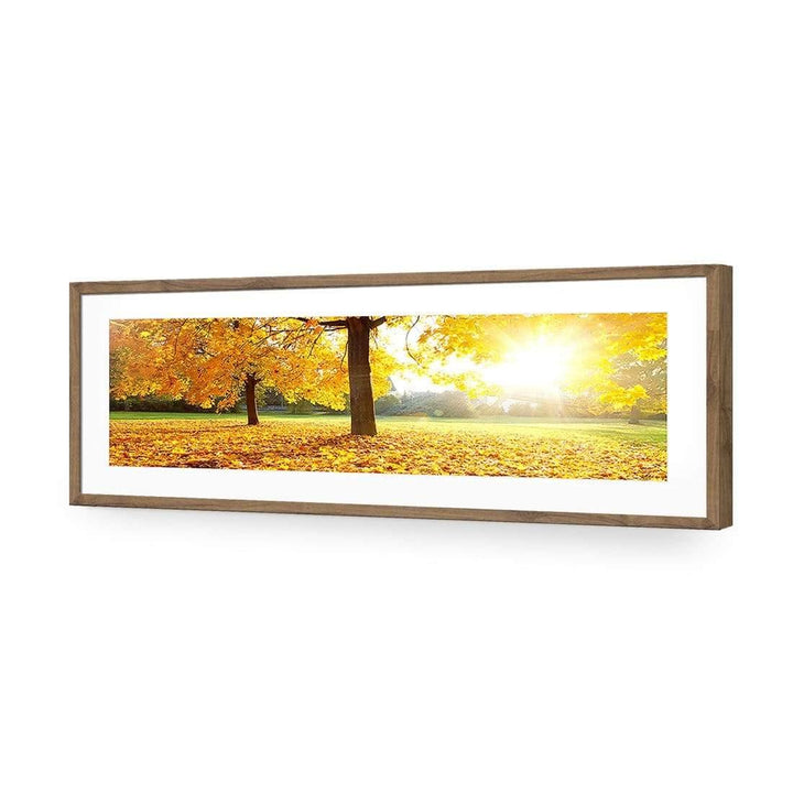 Autumn Sunshine, Original (Long) Wall Art