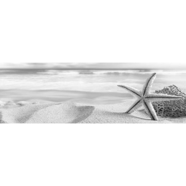 Starfish and Coral on Beach, Black and White (Long) Wall Art