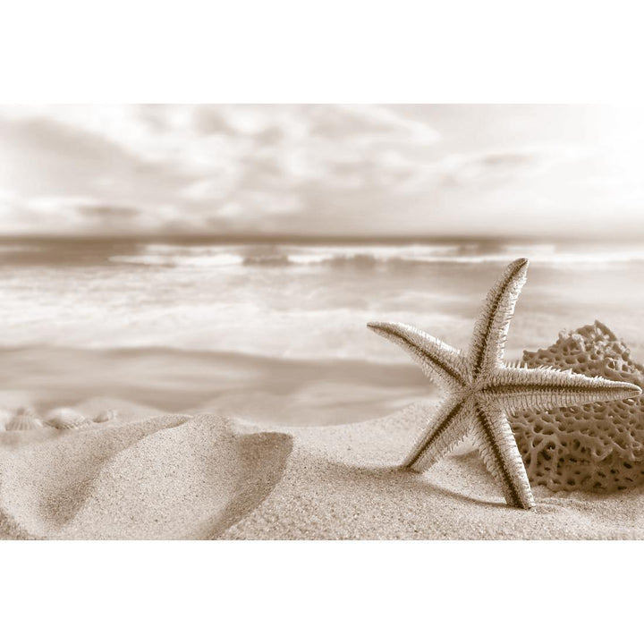 Starfish and Coral on Beach, Sepia Wall Art