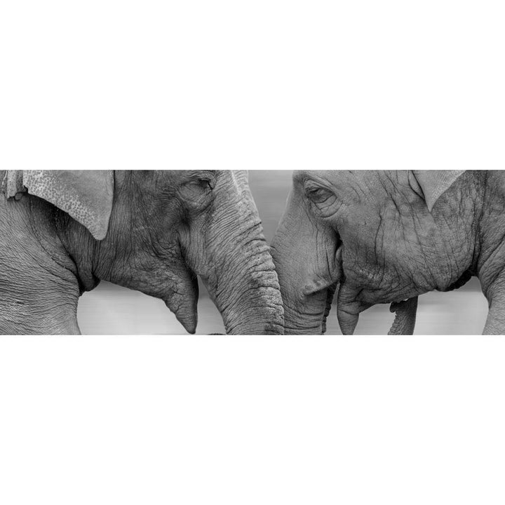 Elephants Kissing, Black and White (Long) Wall Art