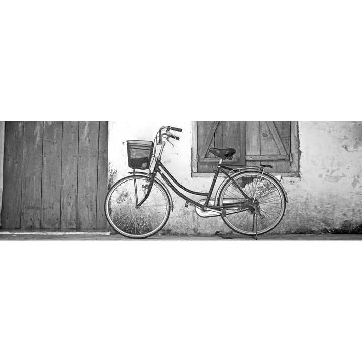 Vintage Bicycle, Black and White (long) Wall Art