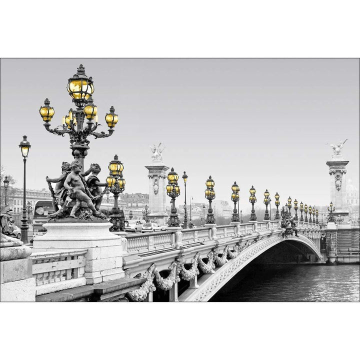 Paris Bridge, Black and White with lights Wall Art