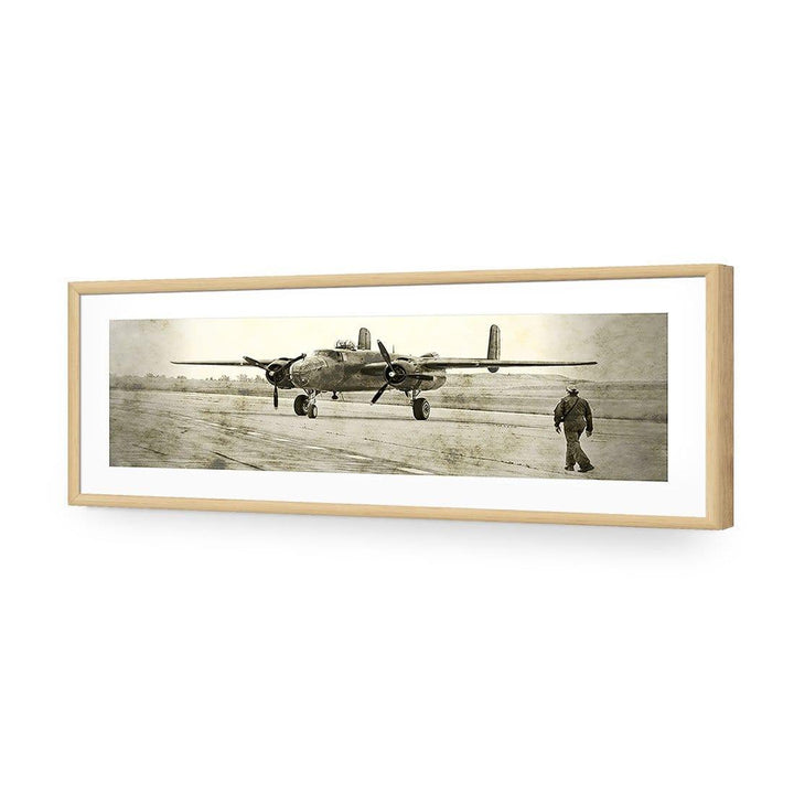 Wartime Plane (long) Wall Art