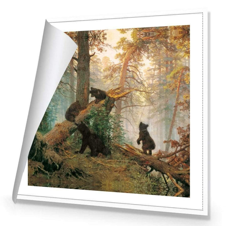Morning in a Pine Forest, square By Ivan Shishkin Wall Art