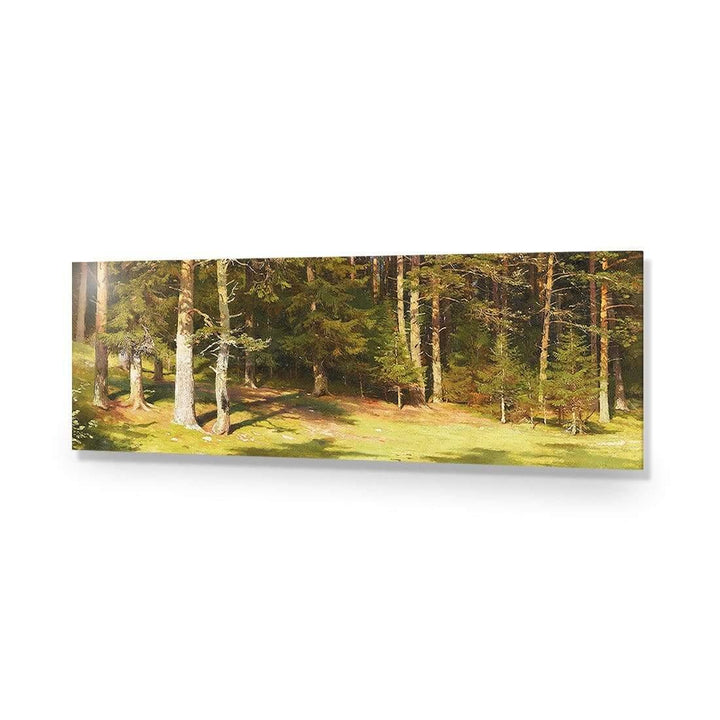 Woodland Sunshine (Long) By Ivan Shishkin Wall Art