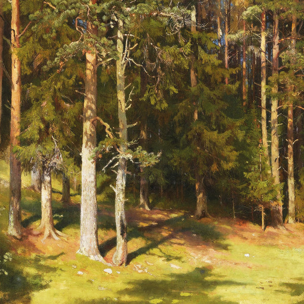 Woodland Sunshine (Square) By Ivan Shishkin