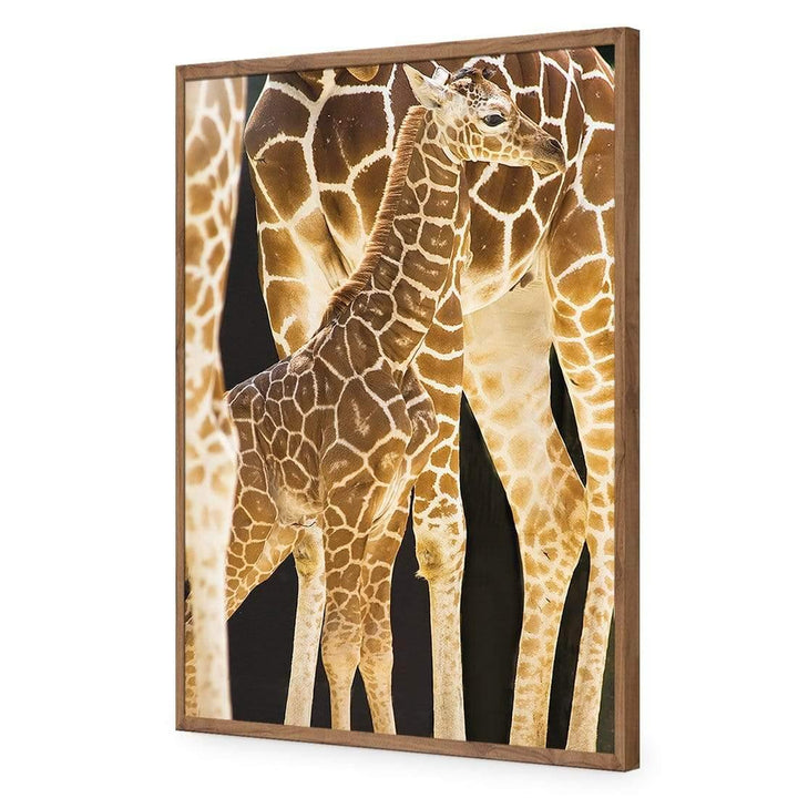 Giraffe Baby under Mum Wall Art