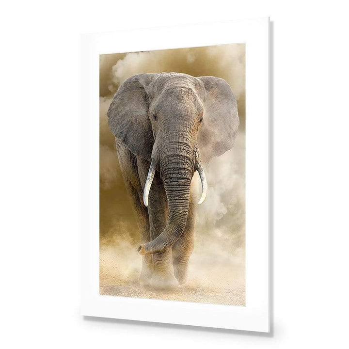 Elephant in Dust Wall Art
