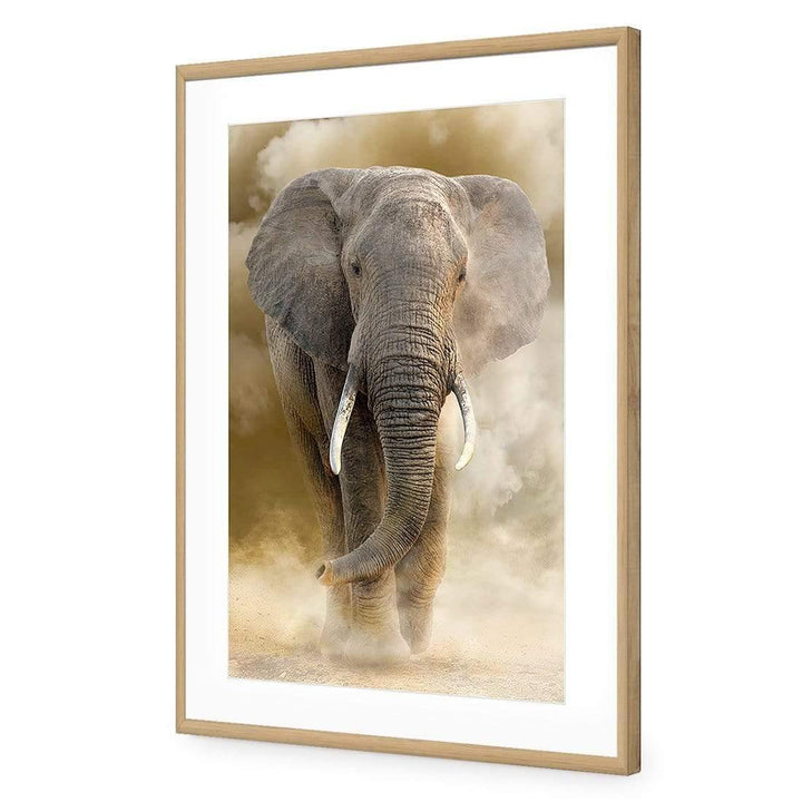 Elephant in Dust Wall Art