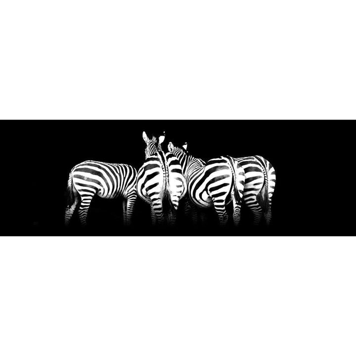Zebra Cheeks, Black and White (long) Wall Art