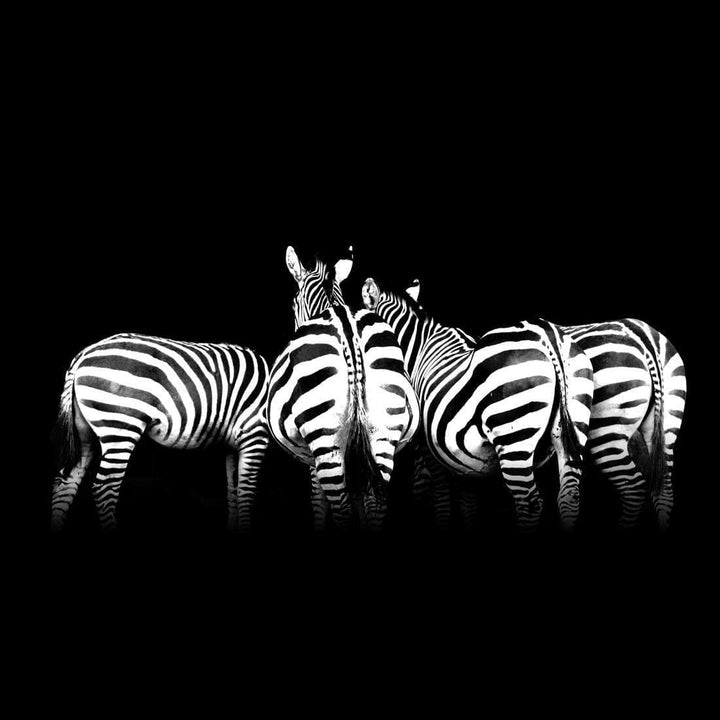 Zebra Cheeks, Black and White (square) Wall Art
