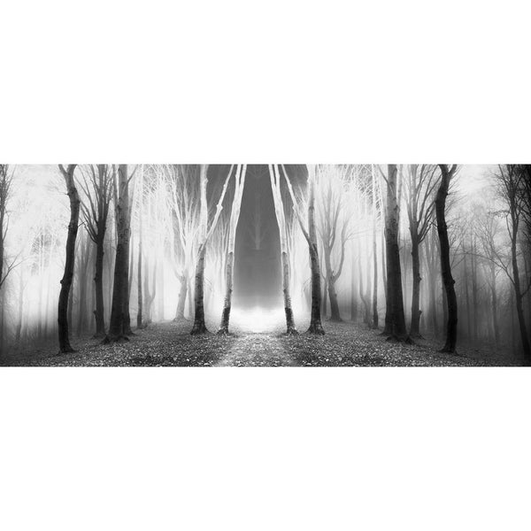 Luminous Forest, Black and White (long) Wall Art