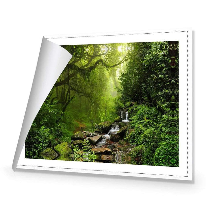 Romantic Rainforest Wall Art