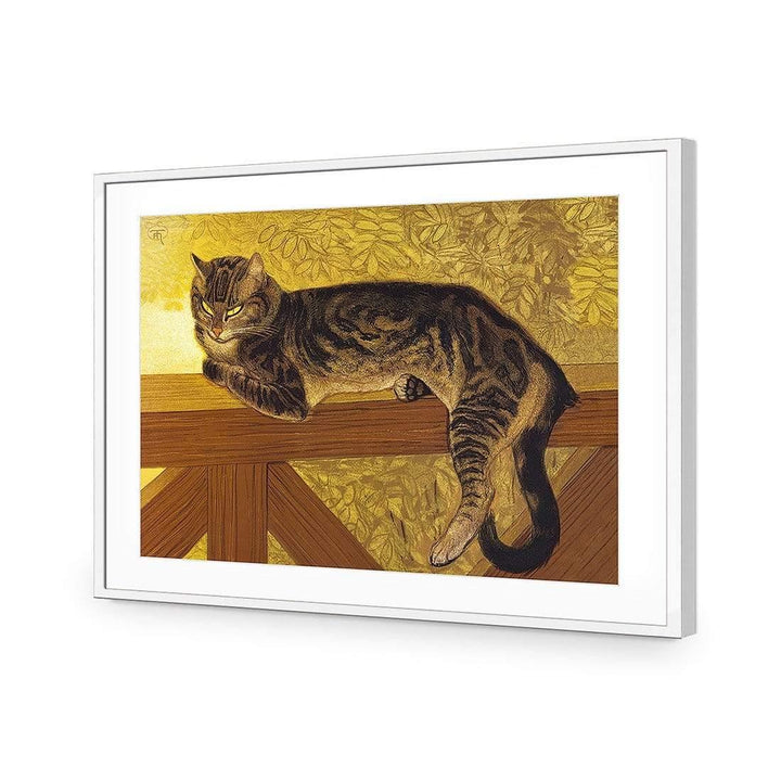Summer Cat on a Balustrade By Steinlen Wall Art