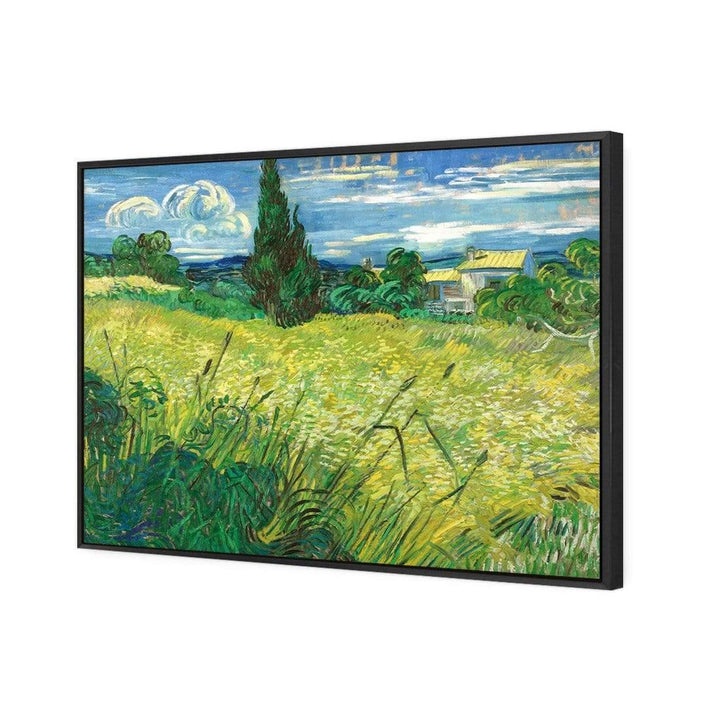 Green Field By Van Gogh Wall Art