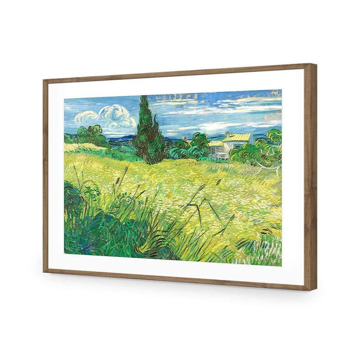 Green Field By Van Gogh Wall Art