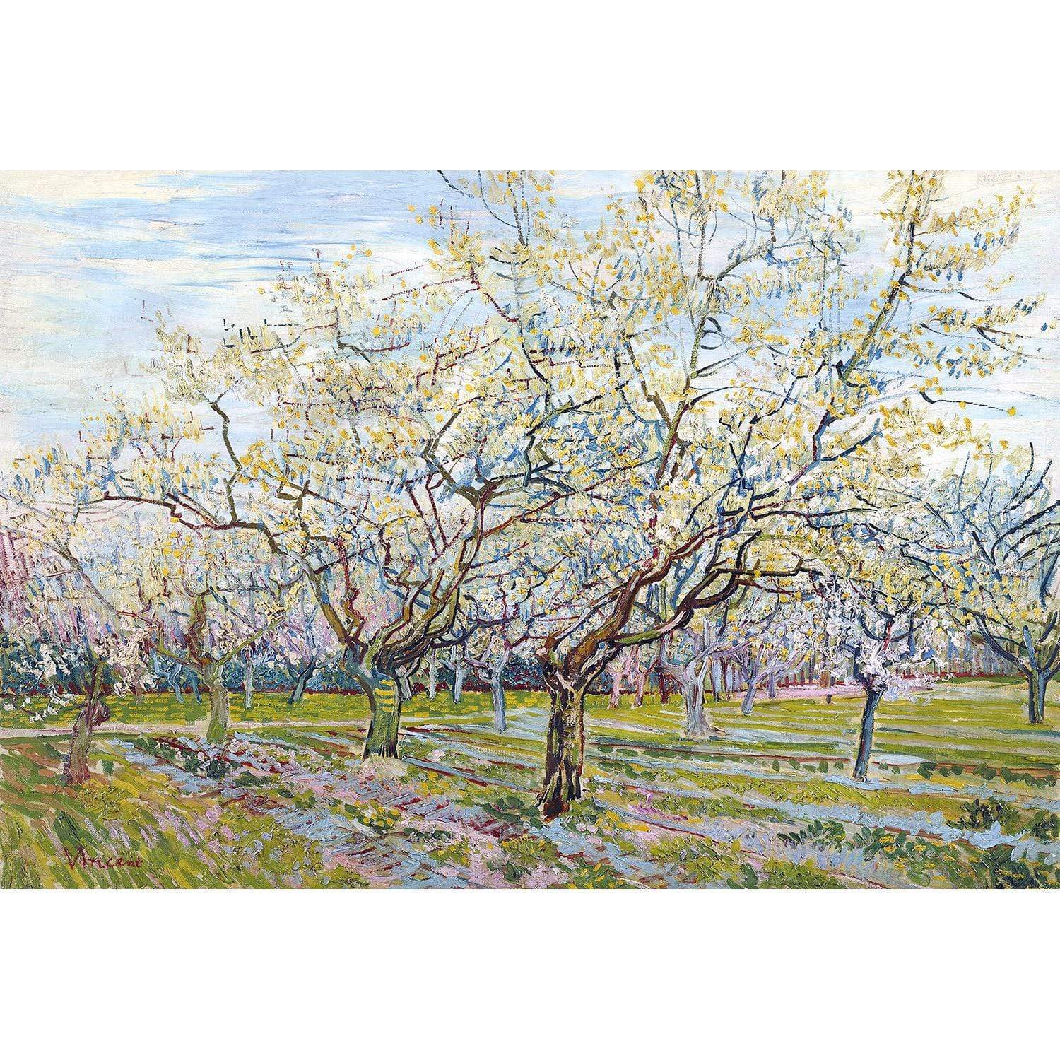 The White Orchard By Vincent Van Gogh Wall Art