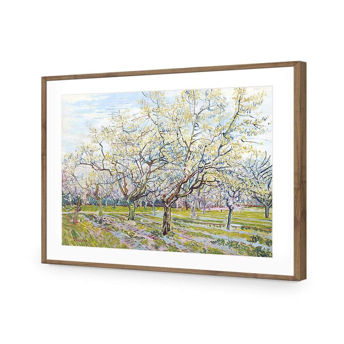 The White Orchard By Vincent Van Gogh Wall Art