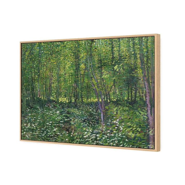 Trees And Undergrowth By Van Gogh Wall Art