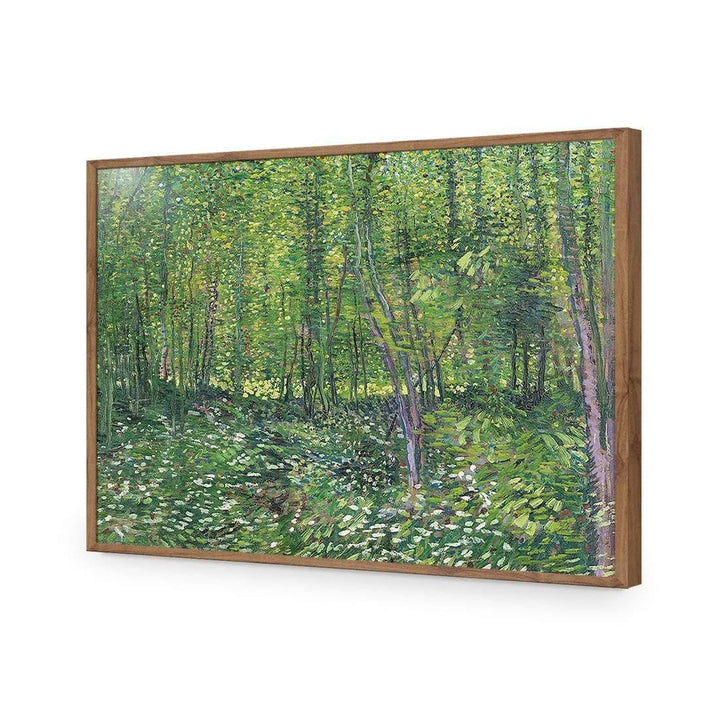 Trees And Undergrowth By Van Gogh Wall Art