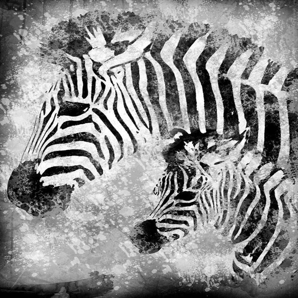 Grunge Zebras, Black and White (square) Wall Art