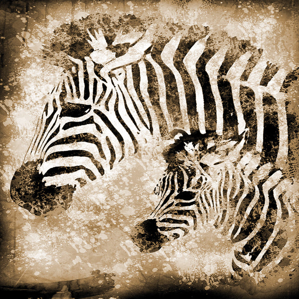 Grunge Zebras, Sepia (square)